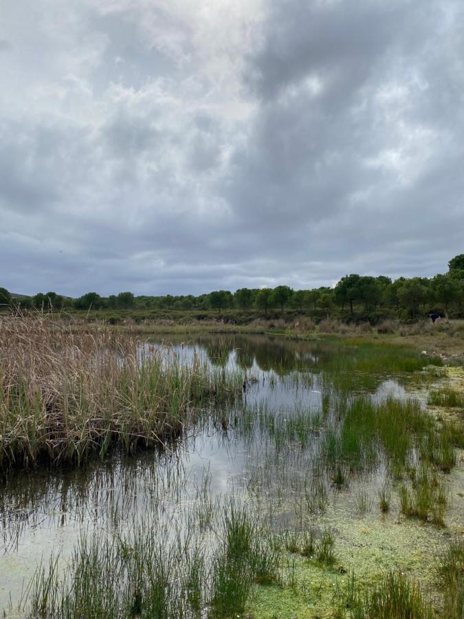 Herdade De Alagaes Mértola Buitenkant foto